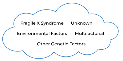 Figure 1: Multiple causes and contributors result in ASD. Shows a cloud with words inside: Fragile X Syndrome, Unknown, Environmental Factors, Multifactors, Other Genetic Factors.
