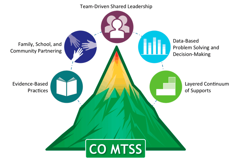 The primary components of MTSS.