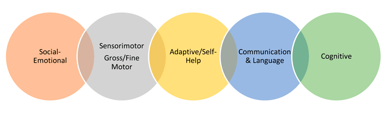 Overlapping circles: Social-emotional, sensorimotor gross/fine motor, adaptive/self-help, communication and language, cognitive.