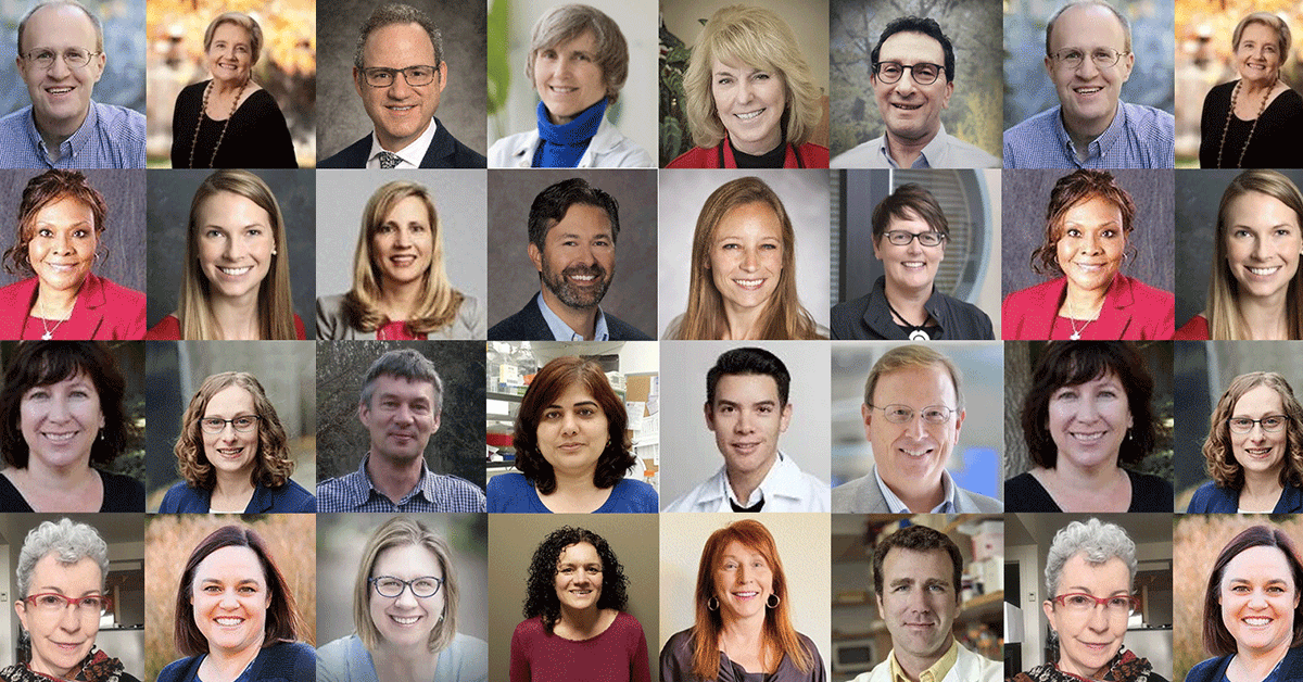 2025 Advisory Committee headshots.
