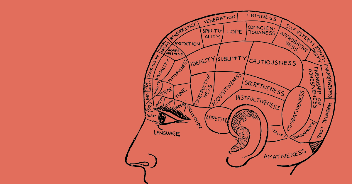 An illustrated brain with labels for different sections.