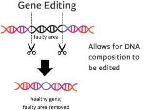 Gene Editing: Allows for DNA composition to be edited