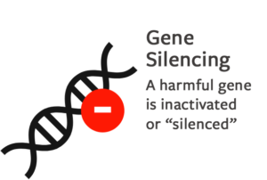Gene Silencing: A harmful gene is inactivated or "silenced"