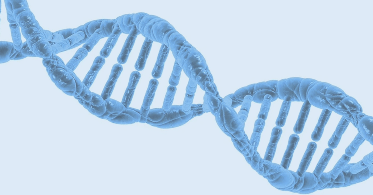 A chromosome