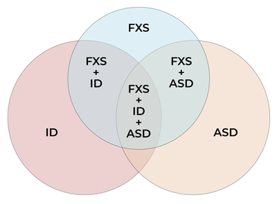 Venn diagram of ASD + FXS
