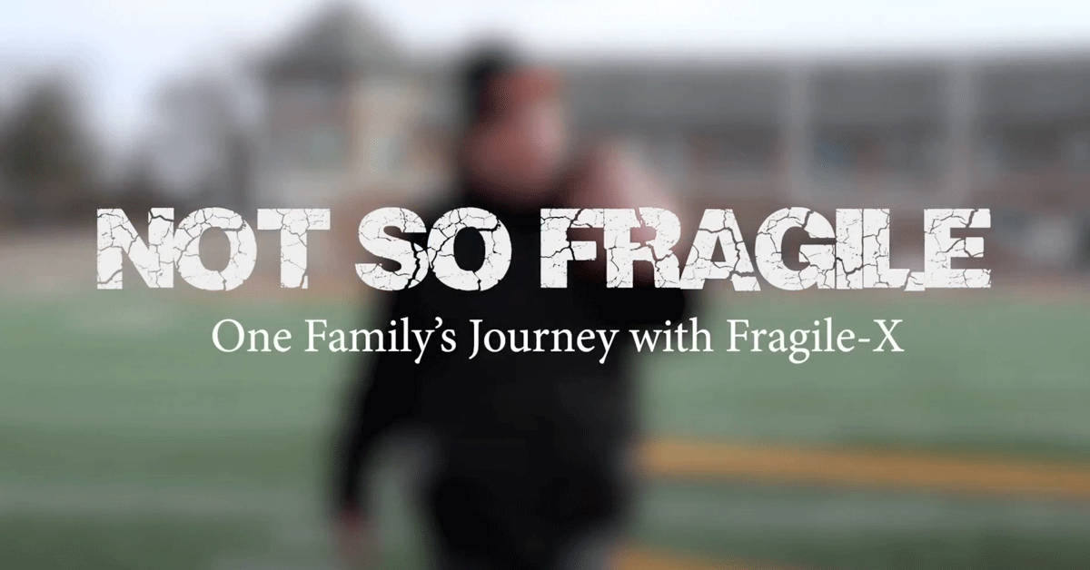 Screen of Not So Fragile.