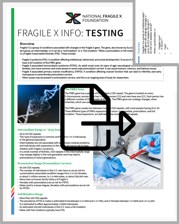 Fragile X Info Series: Testing PDF cover