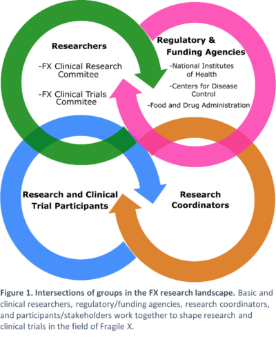 Four overlapping circles, each circle is one part of the Fragile X research landscape.