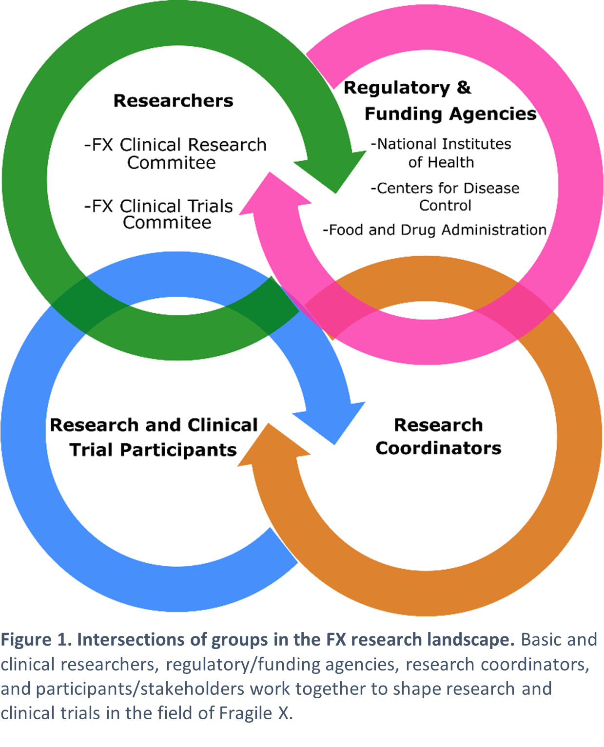 Four overlapping circles, each circle is one part of the Fragile X research landscape.