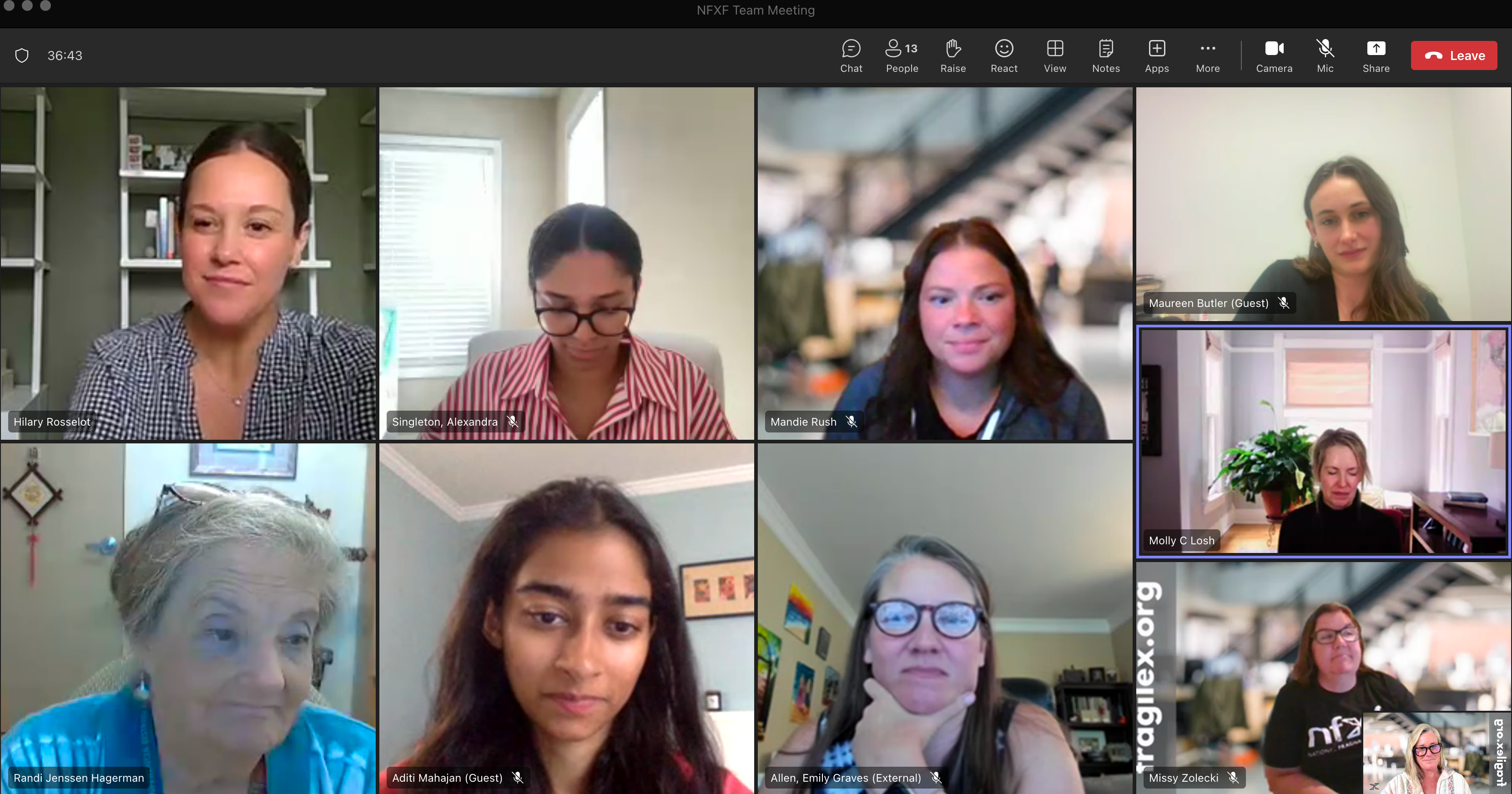 Zoom meeting with Summer Scholars