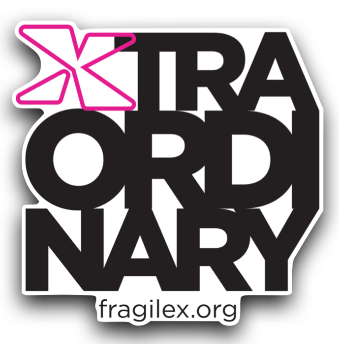 Xtraordinary logo as magnet