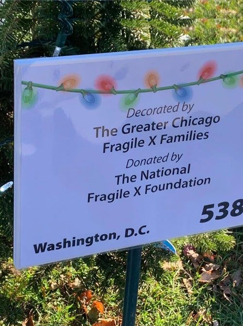 A sign in front of the Christmas tree reads Decorated by The Greater Chicago Fragile X Families. Donated by the National Fragile X Foundation, Washington D.C., 538.