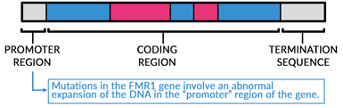 Gene regions pointing out where the mutation originates.
