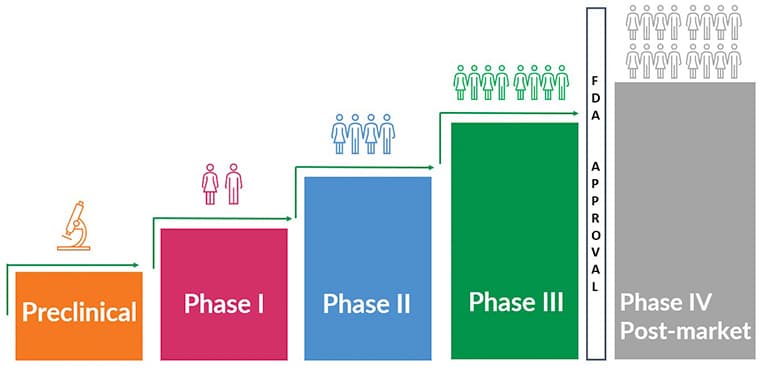 Clinical trial phases