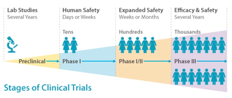 The phases of a clinical trial