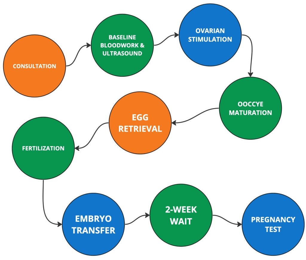 IVF step-by-step flow toward pregnancy.