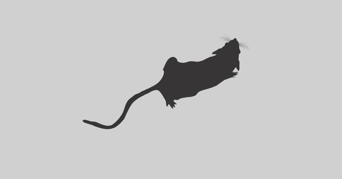 A lab mouse silhouette