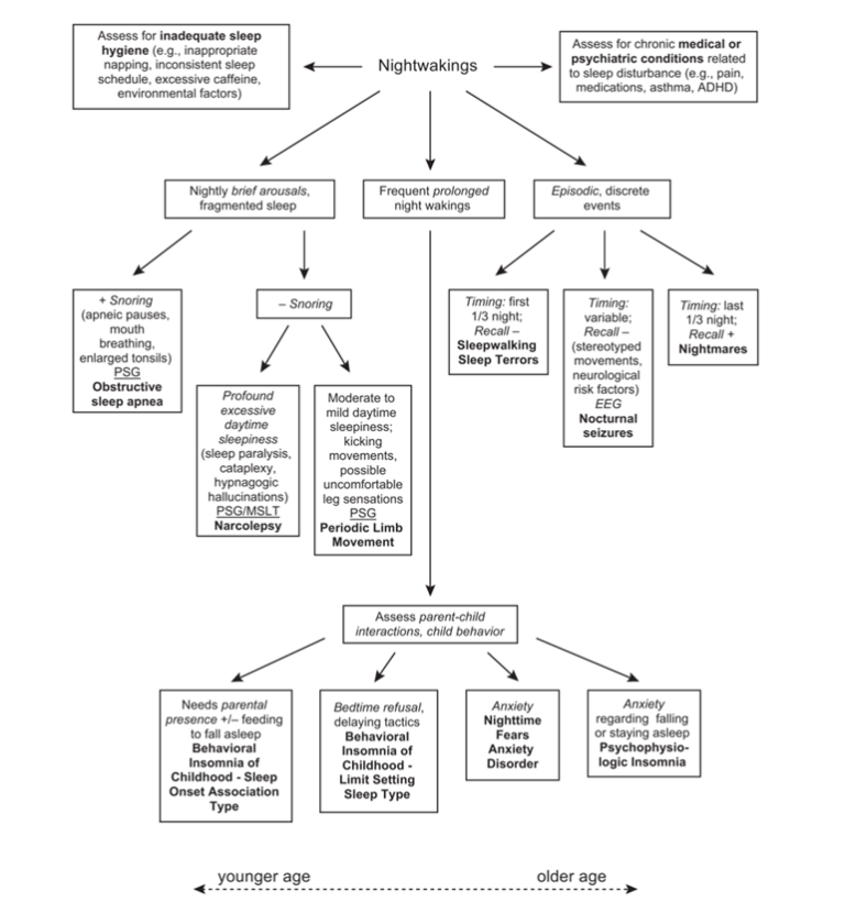 A nightwakings flow chart from A Clinical Guide to Pediatric Sleep Diagnosis and Management of Sleep Problems by Jodi A. Mindell and Judith A. Owens (2010)